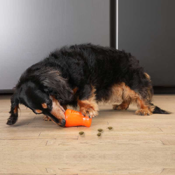 BIONIC Treat Shaker, Large 16 cm
