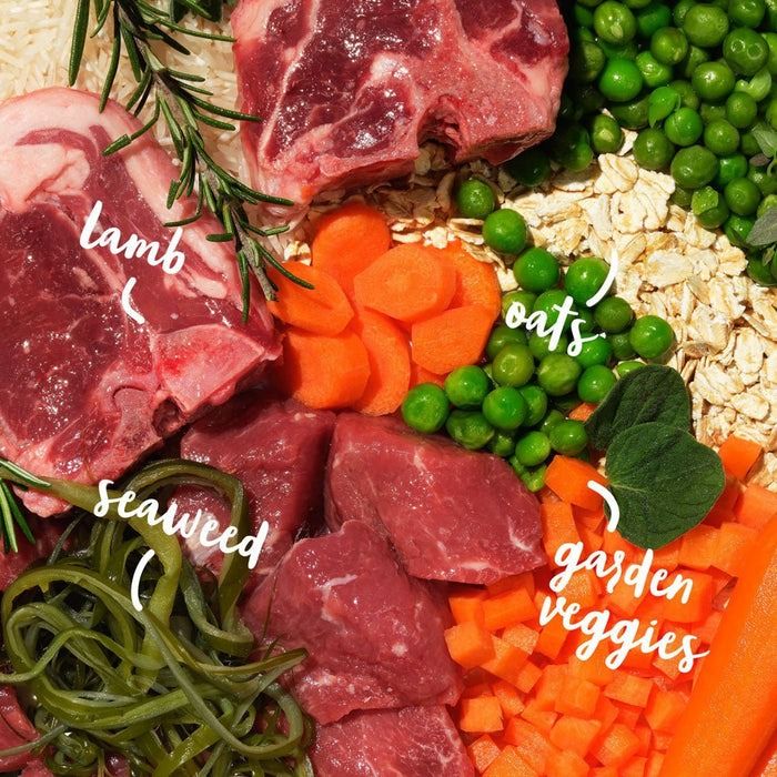 Barking Heads All Hounder Bowl Licken Goodness Lamb Dry Dog Food - 2kg