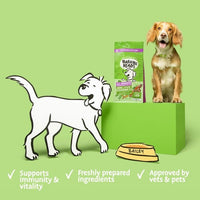 Barking Heads All Hounder Bowl Licken Goodness Lamb Dry Dog Food - 2kg