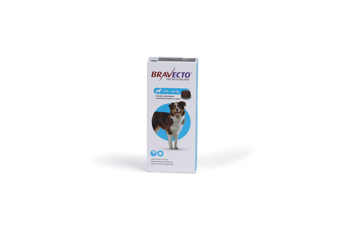 Bravecto 1000 mg Chewable Tablets for Large Dogs
