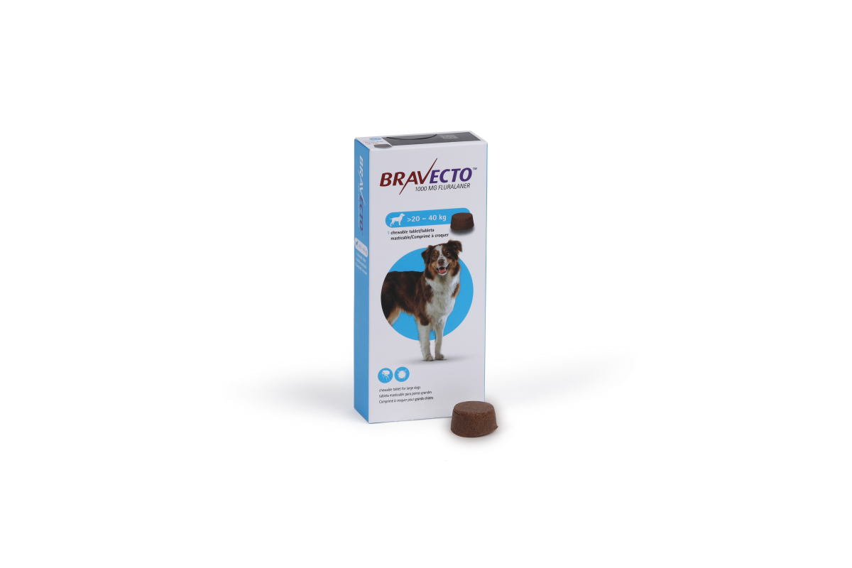 Bravecto 1000 mg Chewable Tablets for Large Dogs