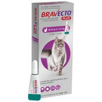 Bravecto Plus 500 mg / 25 mg for Large Cats