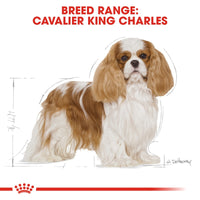 Thumbnail for Breed Health Nutrition Cavalier King Charles Adult 1.5 KG
