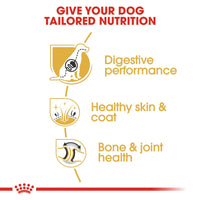 Thumbnail for Breed Health Nutrition German Shepherd Adult 11 KG