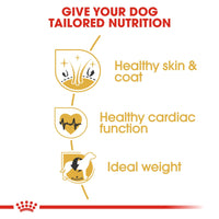 Thumbnail for Breed Health Nutrition Golden Retriever Adult 12 KG