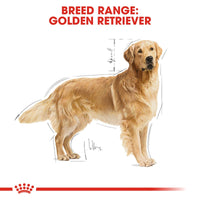 Thumbnail for Breed Health Nutrition Golden Retriever Adult 12 KG