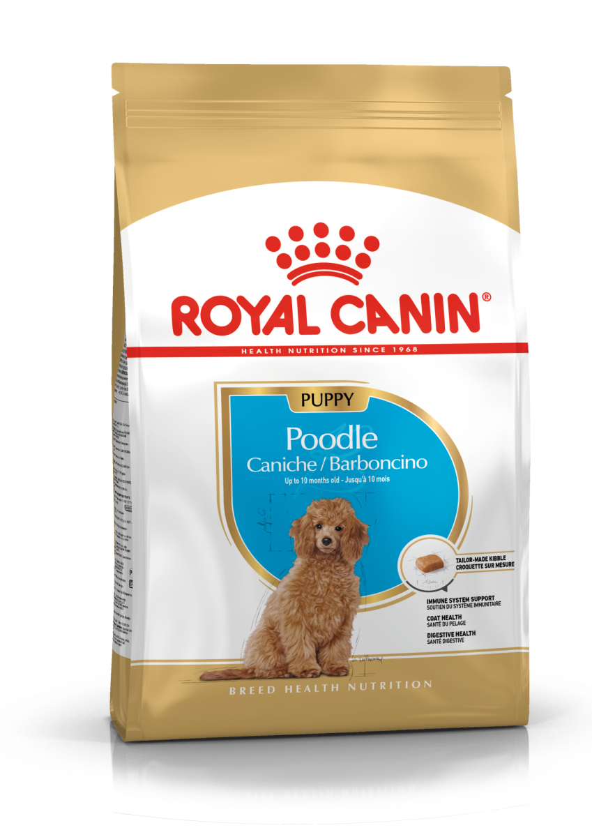 Breed Health Nutrition Poodle Puppy 3 kg