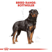 Thumbnail for Breed Health Nutrition Rottweiler Adult 12 KG