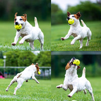 Thumbnail for SKIPDAWG Dog Breezy Ball Pack of 2 (Medium)