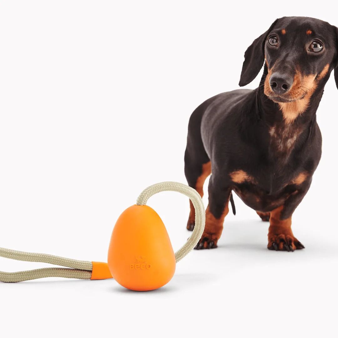 Beco Natural Rubber Slinger Pebble Dog Toy - Orange