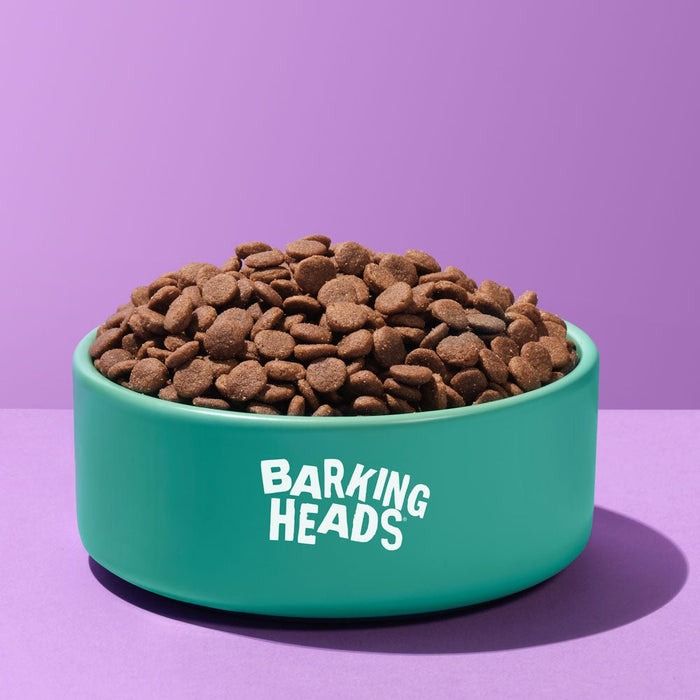 Barking Heads All Hounder Golden Years Chicken Dry Dog Food - 2kg