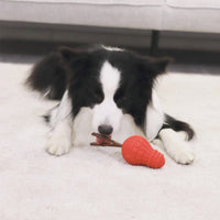 Thumbnail for Red Bulb Dispensing Treat Dog Toy – Medium