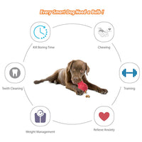 Thumbnail for Red Bulb Dispensing Treat Dog Toy – Medium