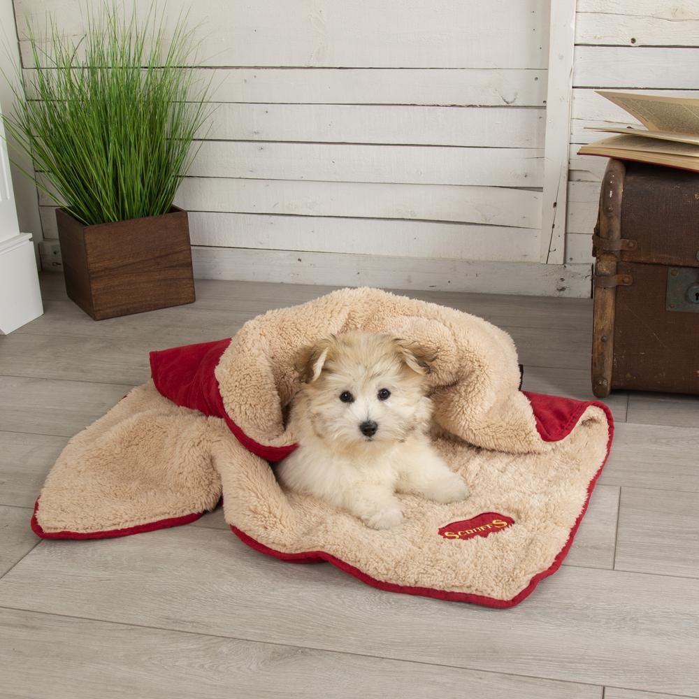Scruffs Snuggle Dog Blanket - BURGUNDY