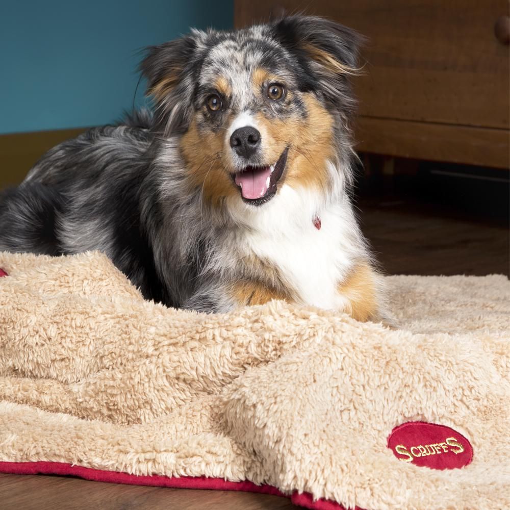 Scruffs Snuggle Dog Blanket - BURGUNDY