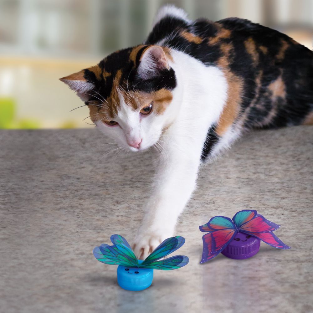 Kong Cat Active Capz Cat Toy 2pk  -