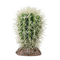 Thumbnail for Cactus Great Basin