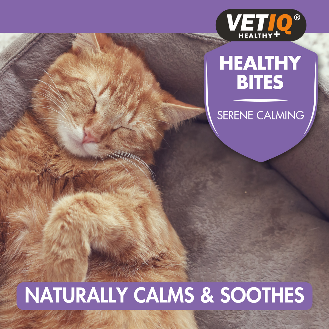 VetIQ Healthy Bites Serene Calming Cat Treats 65g - 65g