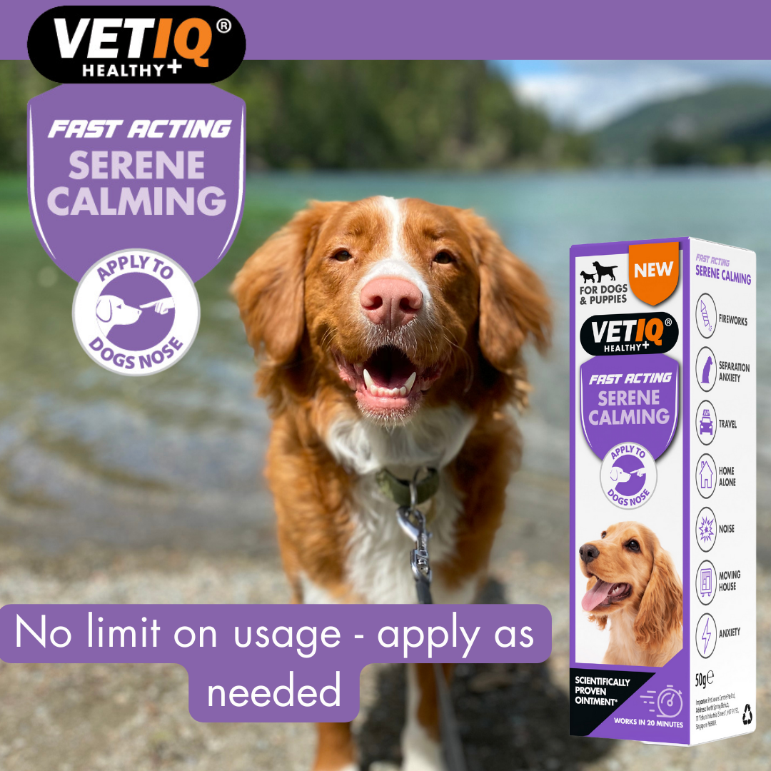 VetIQ Serene Calming Dog Ointment 50g - 50g