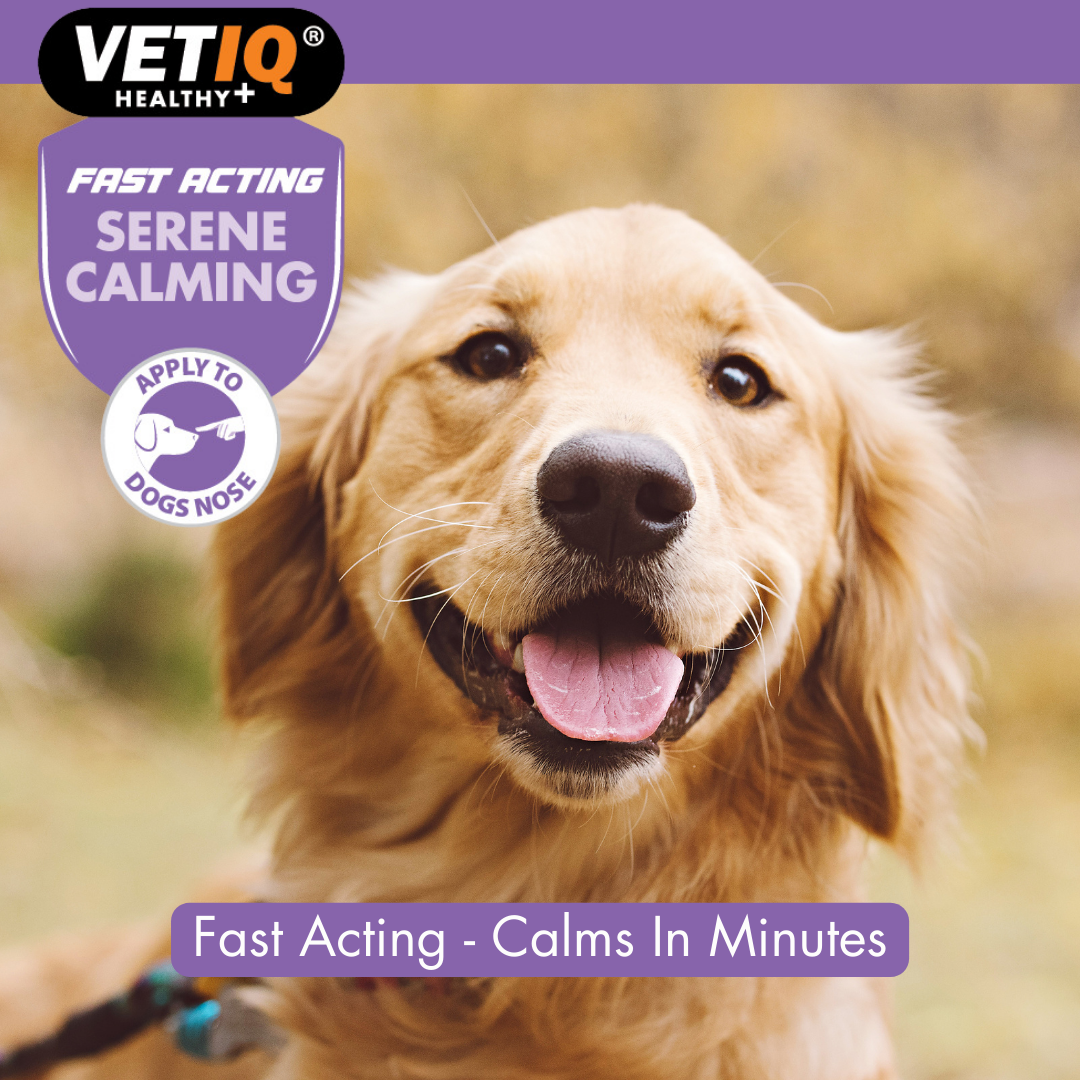 VetIQ Serene Calming Dog Ointment 50g - 50g