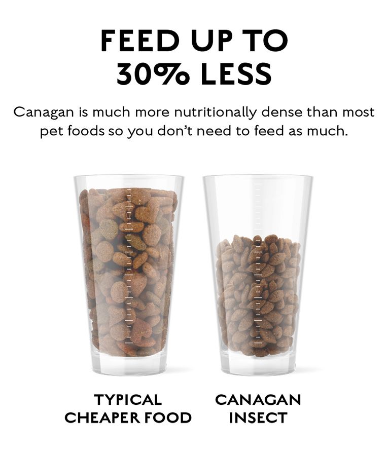 Canagan Insect Protein Dry Dog Food - 1.5kg