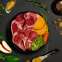 Thumbnail for Canagan Lamb Casserole Wet Dog Food 400g - 400g