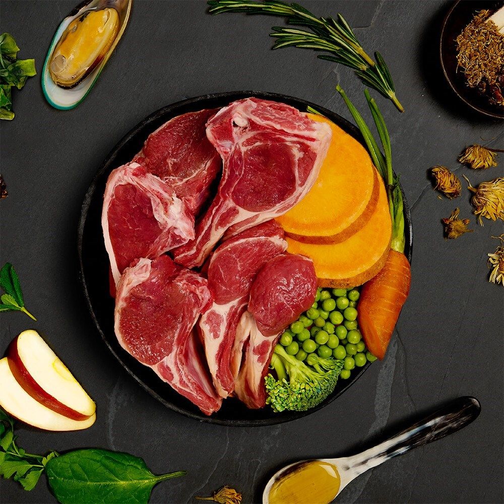 Canagan Shepherd's Pie Wet Dog Food 400g - 400g