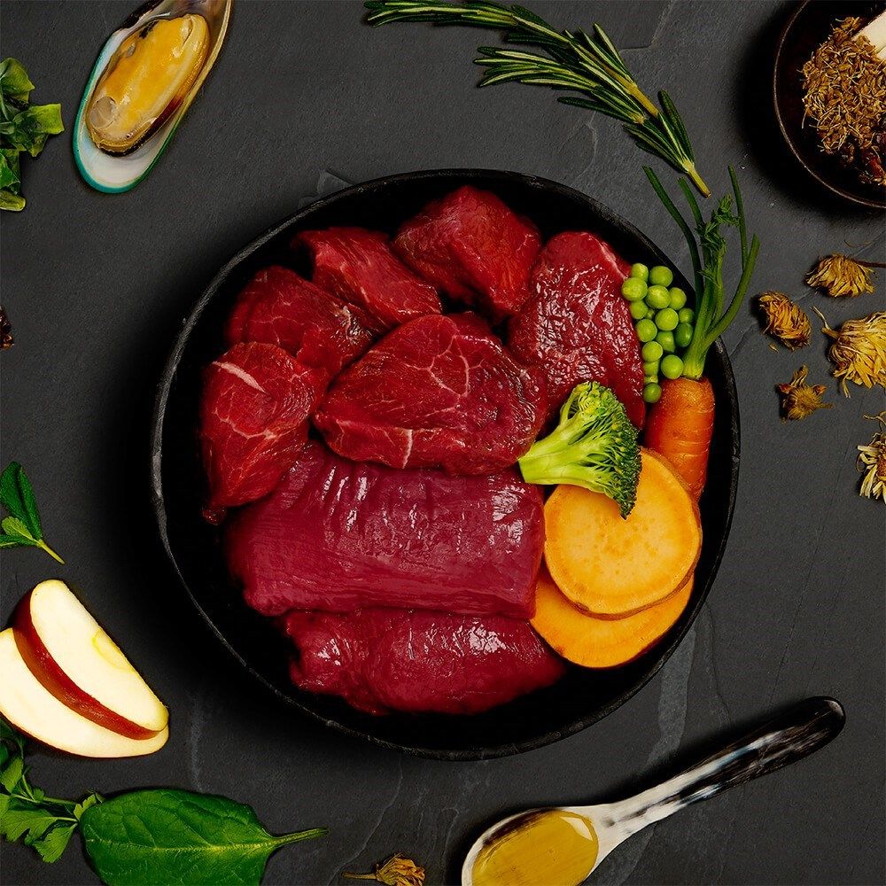 Canagan Venison & Wild Boar Stew Wet Dog Food 400g - 400g