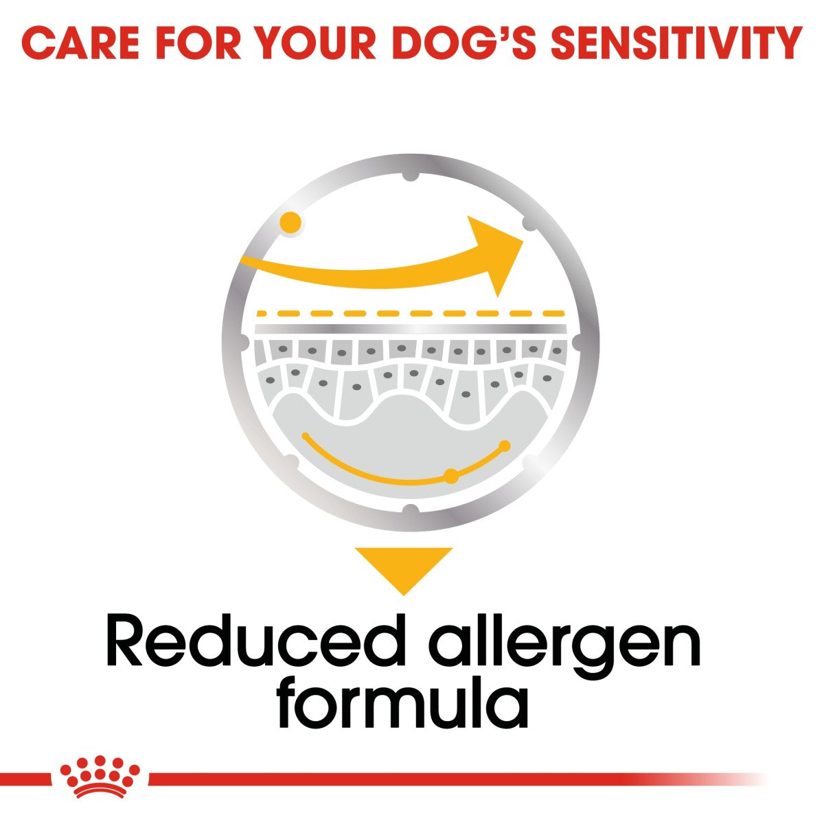 Canine Care Nutrition Dermacomfort (WET FOOD - Pouches) 12 x 85g