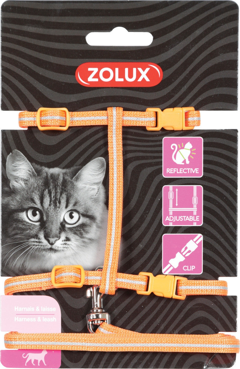 Cat Harness & Leash Kit Orange