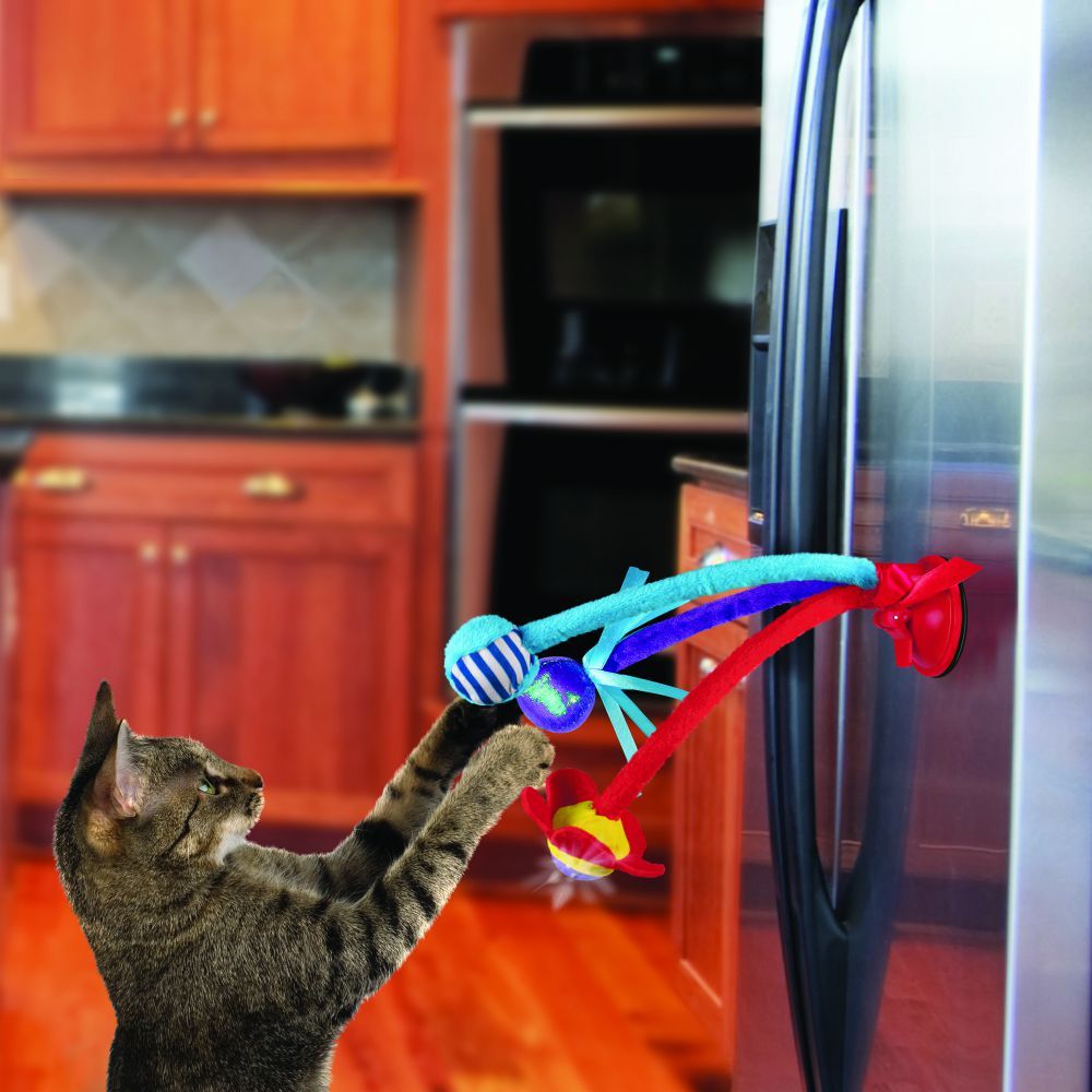 Kong Connects Bat 'N Spring Cat Toy -