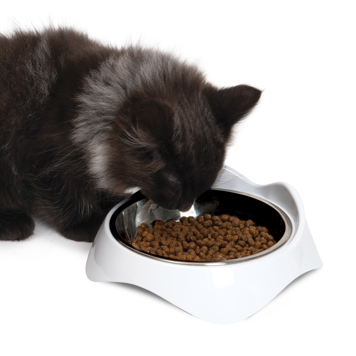 Catit Pixi Feeding Dish - White