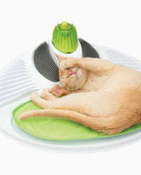 Thumbnail for Catit Senses 2.0 Wellness Center