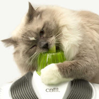 Thumbnail for Catit Senses 2.0 Wellness Center