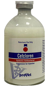 Cefcloren 100ml
