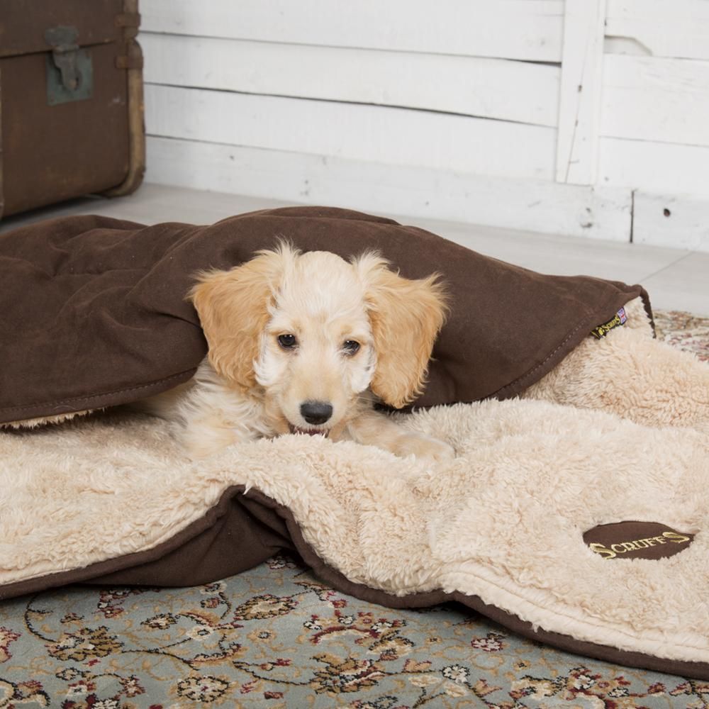 Scruffs Snuggle Dog Blanket - CHOCOLATE
