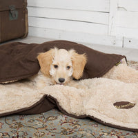 Thumbnail for Scruffs Snuggle Dog Blanket - CHOCOLATE
