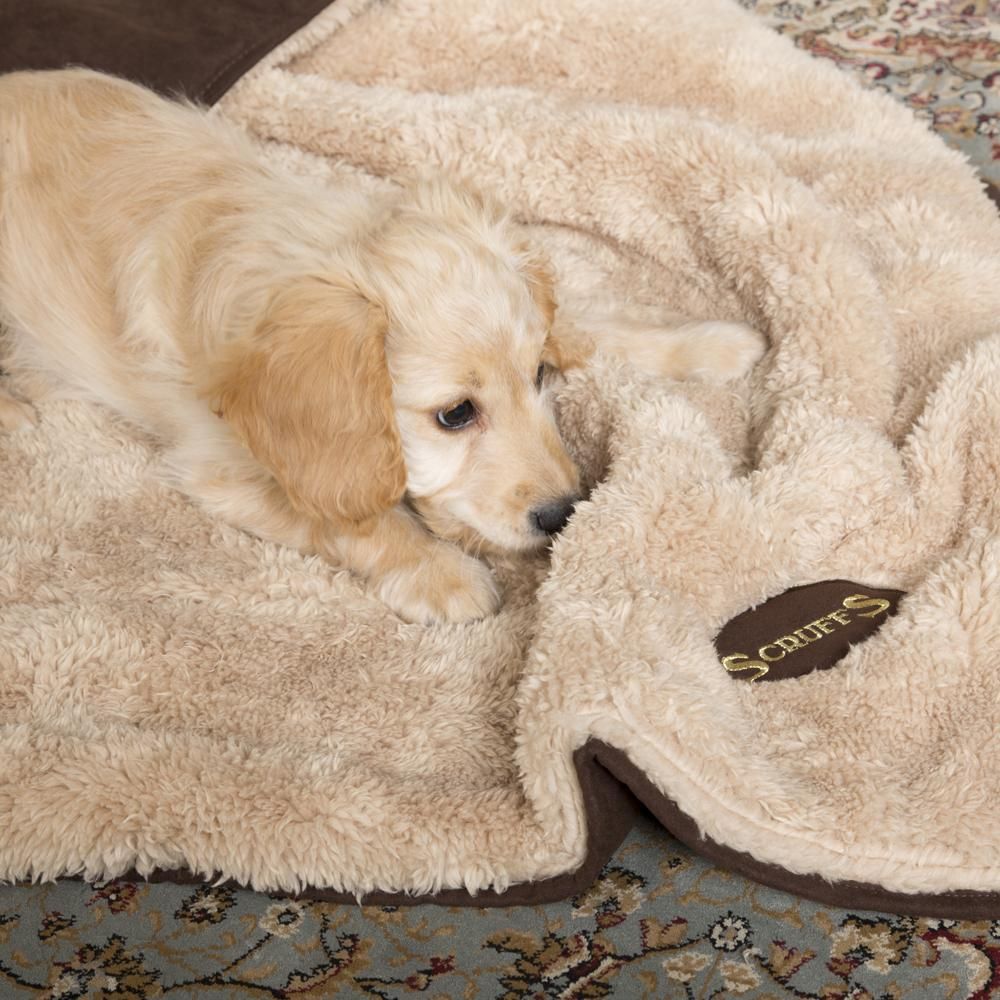 Scruffs Snuggle Dog Blanket - CHOCOLATE