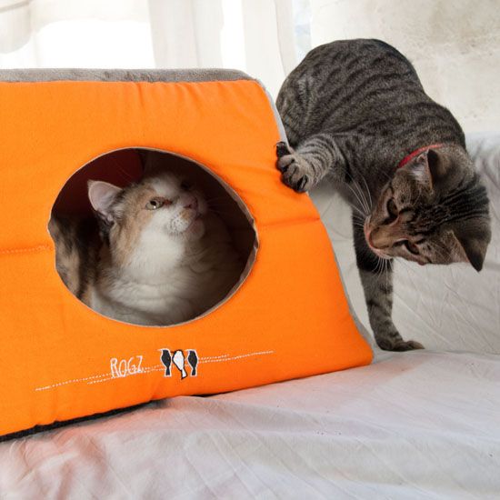 Rogz Igloo Birds On Wire Cat Bed -