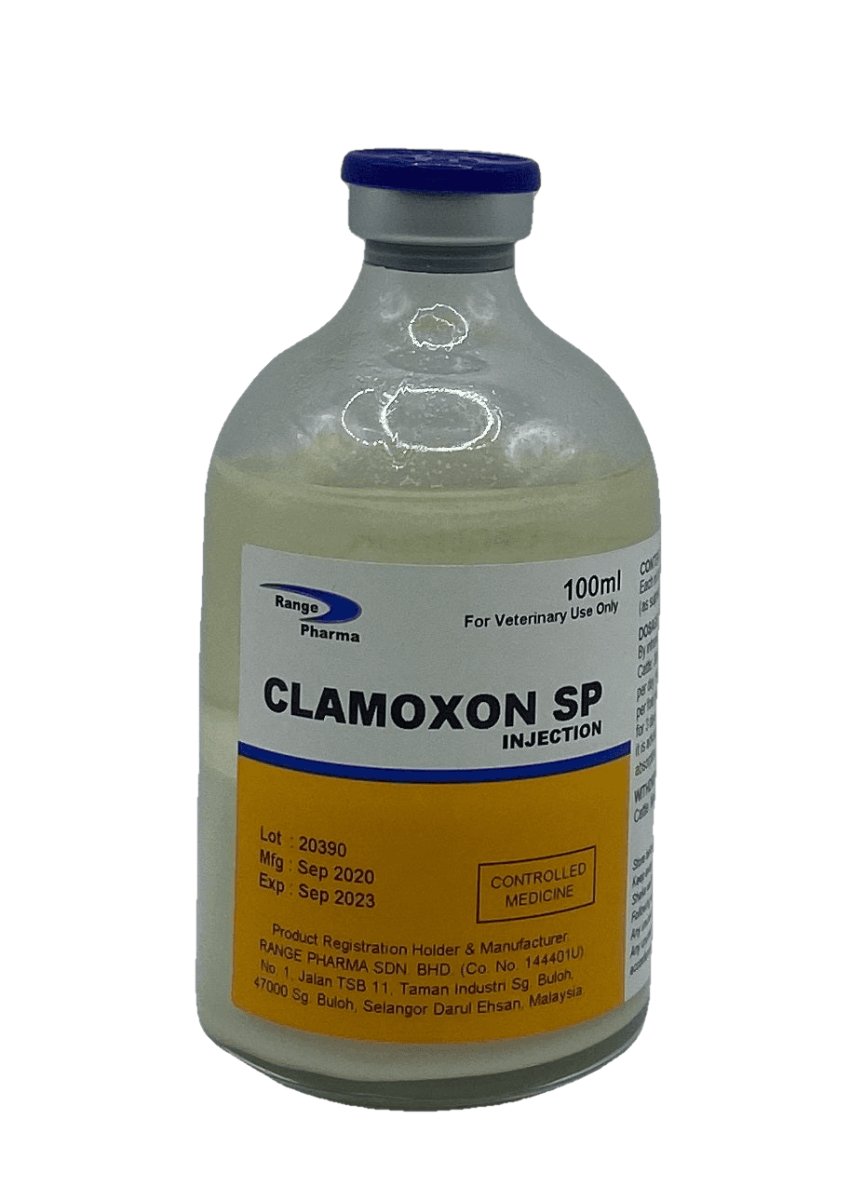 CLAMOXON SP  100 ml