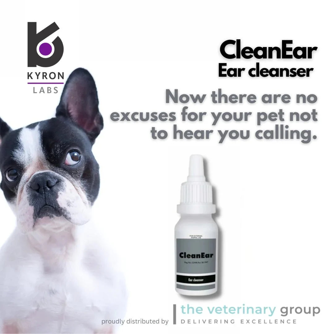 Clean Ear Solution 30ml