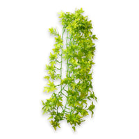 Thumbnail for Climber Ivy 70 cm