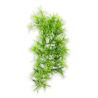 Thumbnail for Climber Tropica 37 cm