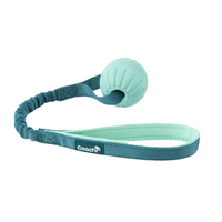 Coachi Puppy & Mini Tuggi Ball Teal & Mint