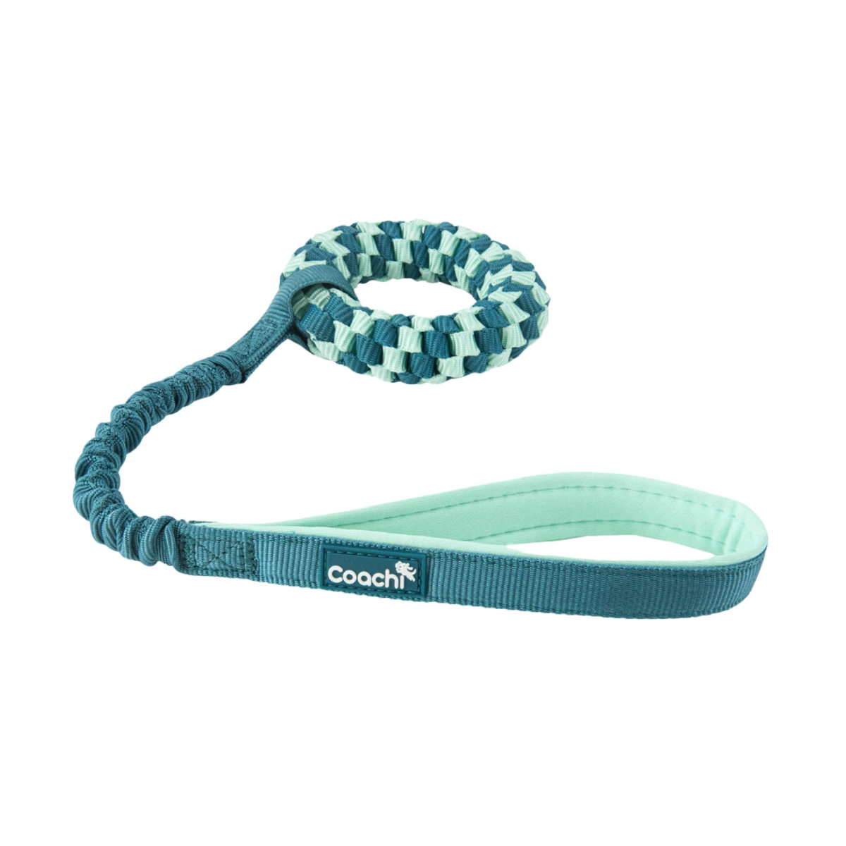 Coachi Puppy & Mini Tuggi Helix Teal & Mint