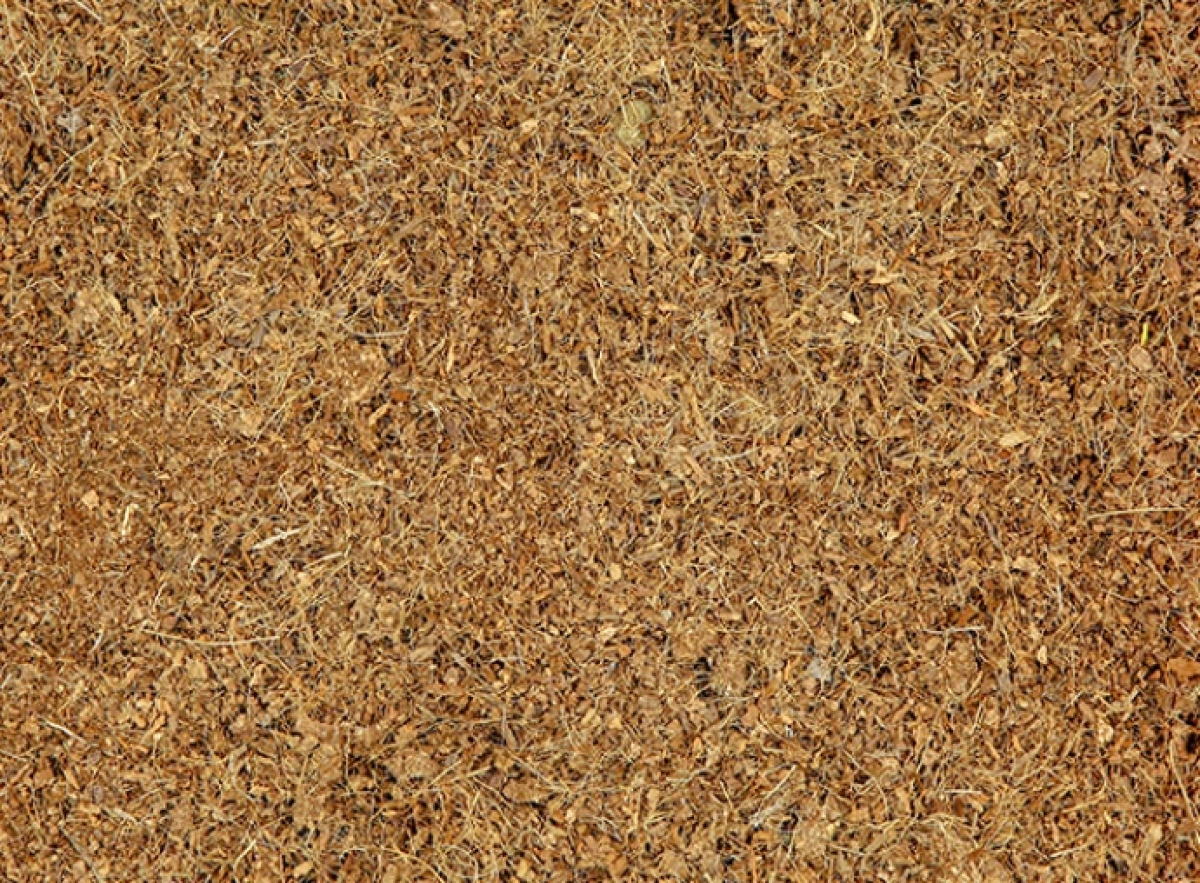 Coconut Litter Terrarium 20 L