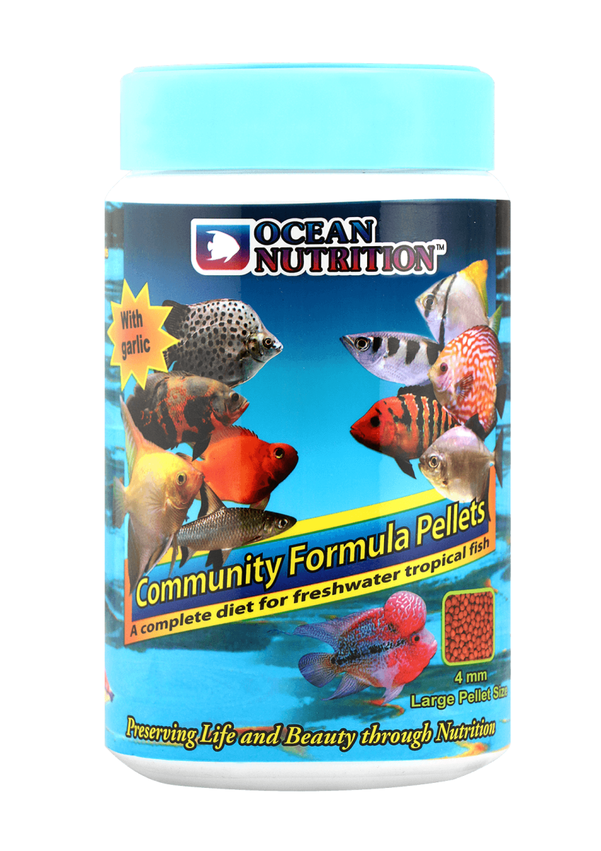 Community Pellets Large 600g