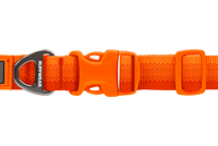 Thumbnail for Ruffwear Front Range Dog Collar - Blaze Orange 14
