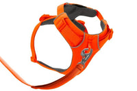Thumbnail for Ruffwear Front Range Padded Dog Harness - Blaze Orange Small