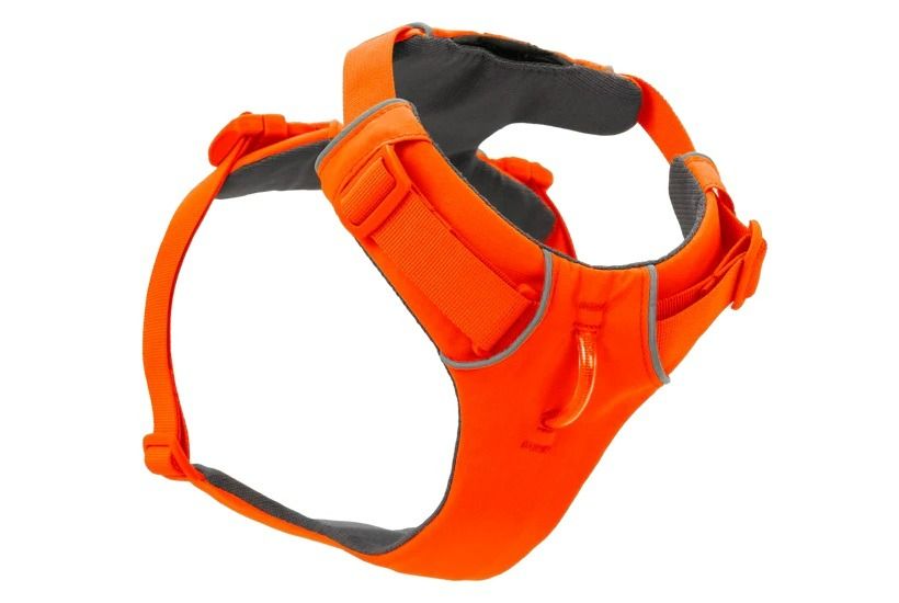 Ruffwear Front Range Padded Dog Harness - Blaze Orange Small